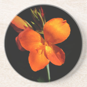 Dazzling Orchid Sandstone Coaster
