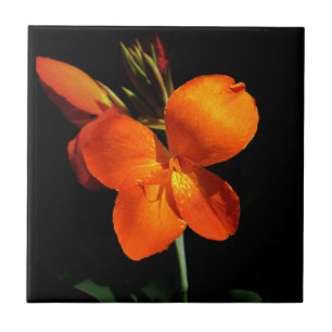 Dazzling Orchid Tile