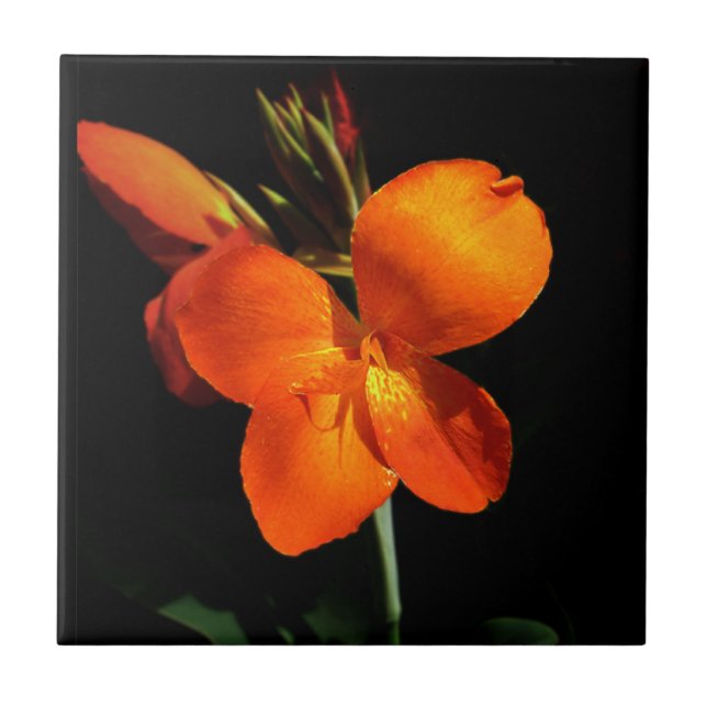 Dazzling Orchid Tile (Front)