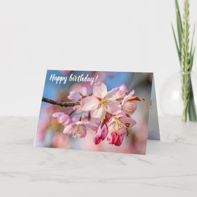 Dazzling Sakura Flowers. Beige And Blue Background Card (Front)