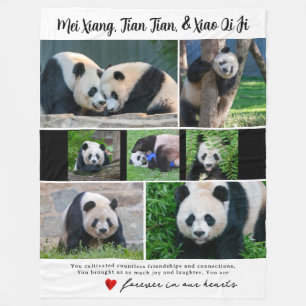 DC Giant Pandas "In Our Hearts" Blanket
