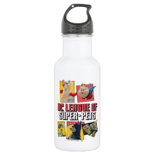 DC League of Super-Pets Character Panels 532 Ml Water Bottle