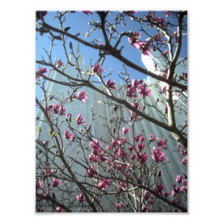 DC Temple in Pink Flowers Photo Print