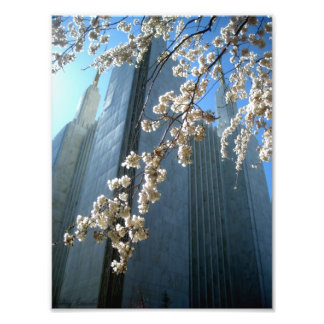 DC Temple Photo Print