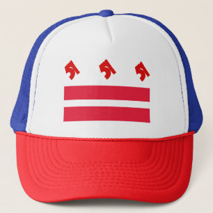 DC the 51st State Hat 