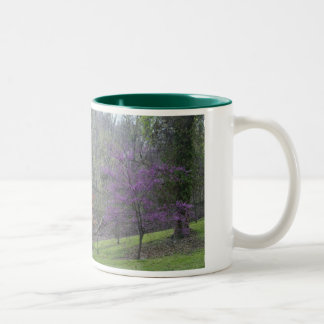 DC Trees Mug