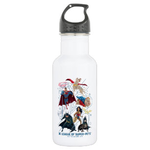 DC Trinity Heroes & Super-Pets 532 Ml Water Bottle