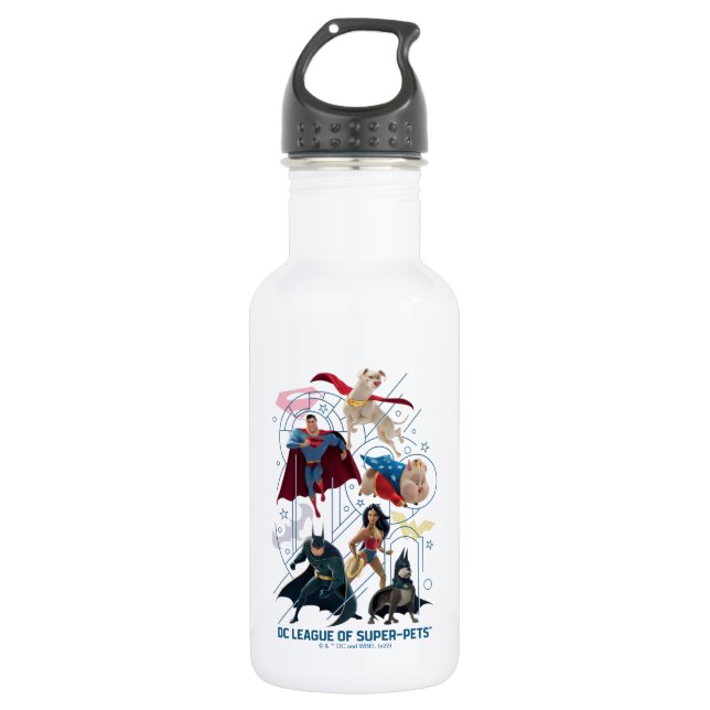 DC Trinity Heroes & Super-Pets 532 Ml Water Bottle (Front)