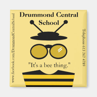 DCS Beeman Magnet