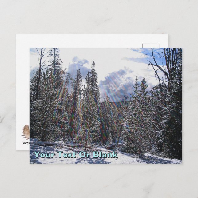 De Havilland Beaver Floatplane Postcard (Front/Back)