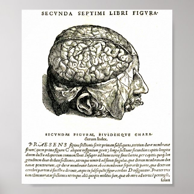 De Humani Corporis Poster (Front)