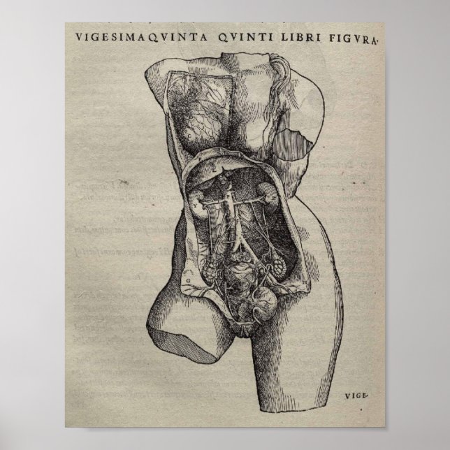 De Humani Corporis Poster (Front)