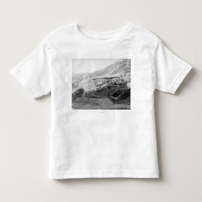 De Smet Gold Stamp Mill in Central City Toddler T-Shirt (Front)
