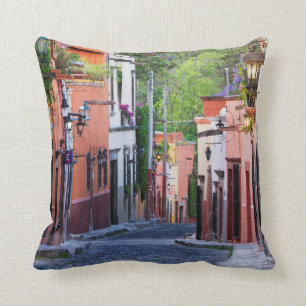 De Sollano Street, San Miguel De Allende Cushion