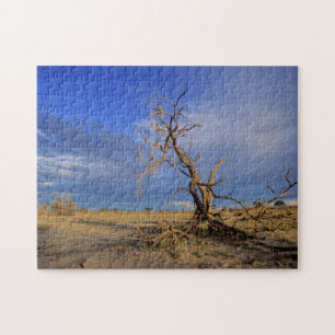 Dead Camel Thorn (Acacia Erioloba) Tree Jigsaw Puzzle