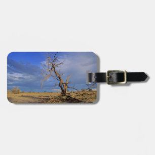 Dead Camel Thorn (Acacia Erioloba) Tree Luggage Tag