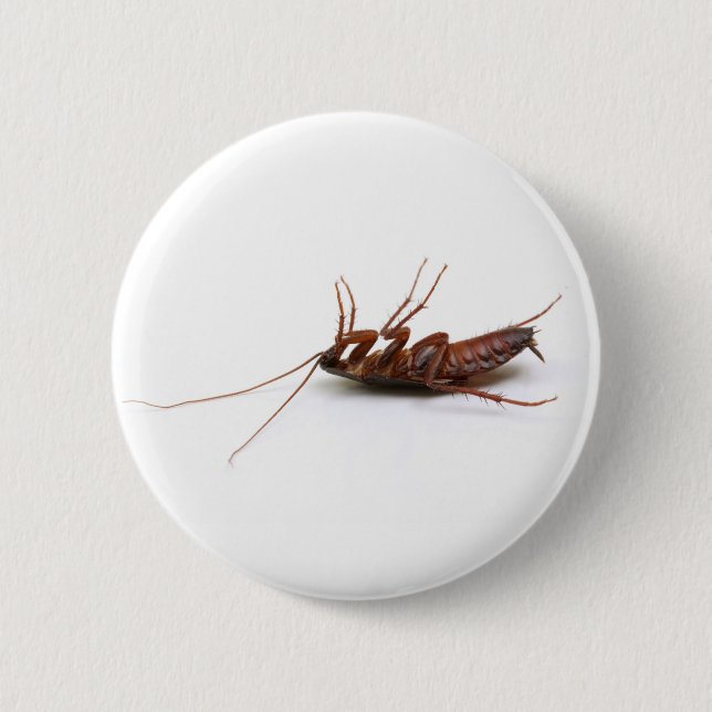 Dead cockroach 6 cm round badge (Front)