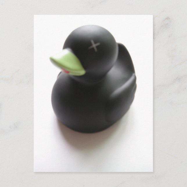 Dead Duck Postcard (Front)