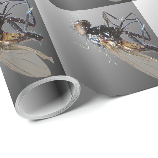 Dead Fly Wrapping Paper (Roll Corner)