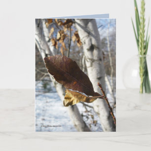 Dead Leaves in Birch Card