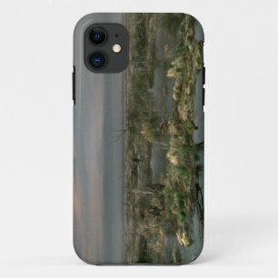 Dead Marshes iPhone 11 Case