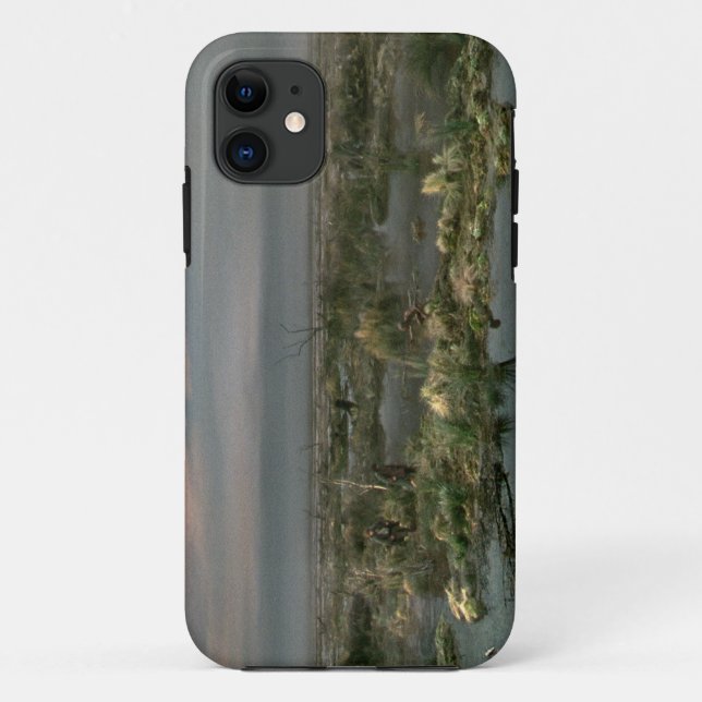 Dead Marshes Case-Mate iPhone Case (Back)