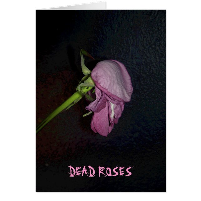 Dead Roses: The bloom is off the blossom, baby. (Front)