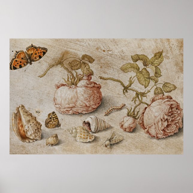 Dead Roses Trompe l’Oeil – Jan van Kessel Poster (Front)