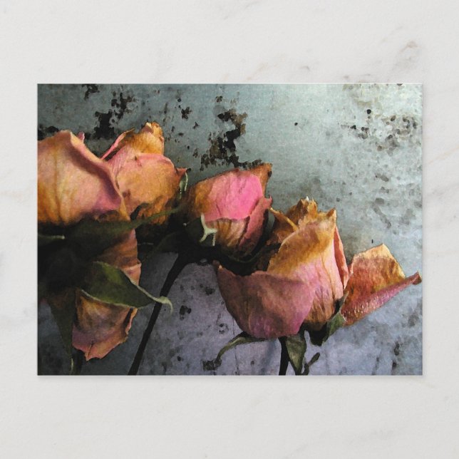 Dead Roses Watercolor Postcards (Front)