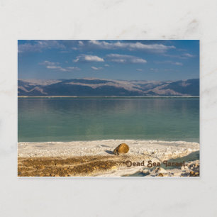 Dead Sea ,Israel Holiday Postcard