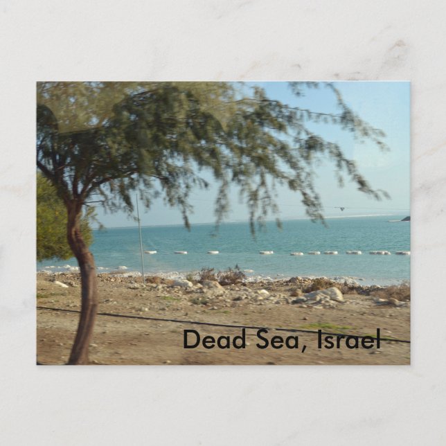 Dead Sea, Israel Postcard (Front)