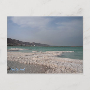 Dead Sea, Israel. Postcard
