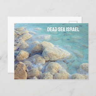 Dead Sea Israel Postcard