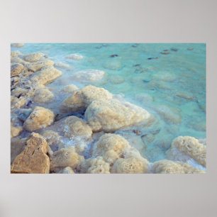 Dead Sea Israel Poster