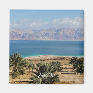 Dead Sea landscape photograph Magnet