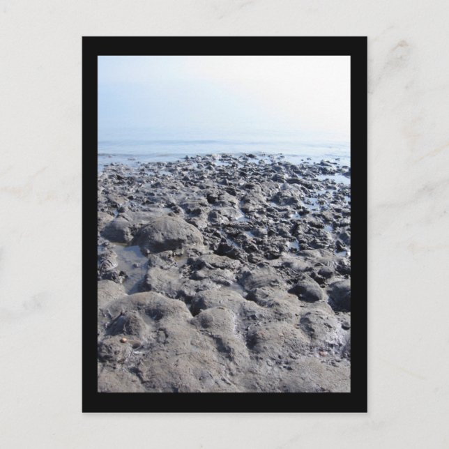 Dead Sea Postcard (Front)
