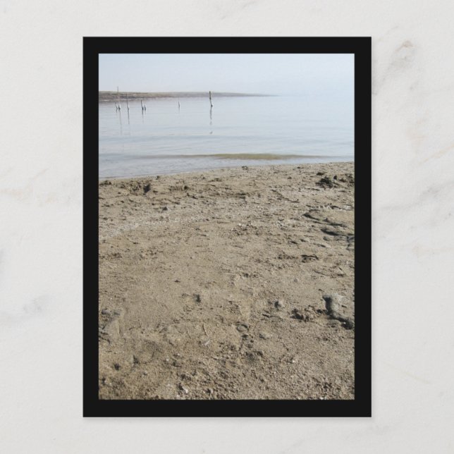 Dead Sea Postcard (Front)
