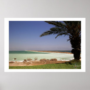 Dead Sea Poster