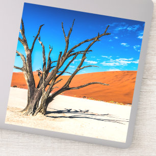 Dead tree in Deadvlei, Namibia