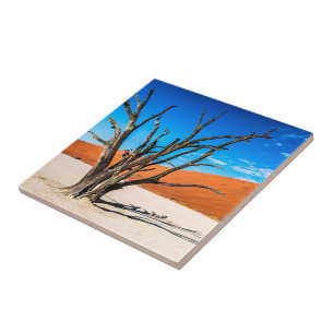 Dead tree in Deadvlei, Namibia Ceramic Tile