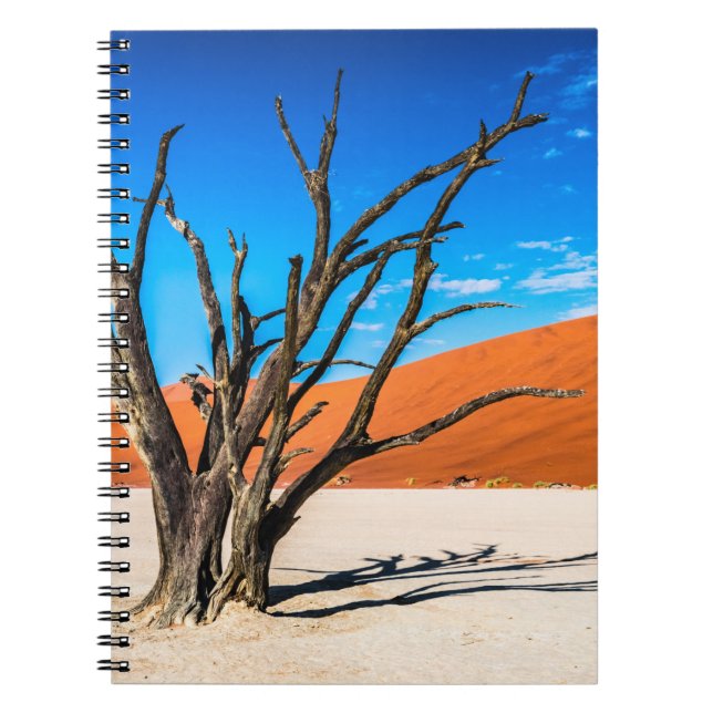 Dead tree in Deadvlei, Namibia Notebook (Front)
