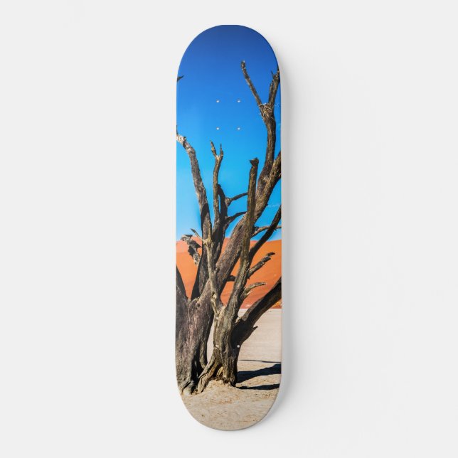 Dead tree in Deadvlei, Namibia Skateboard (Front)