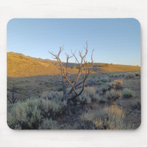 Dead Tree in the Nevada Desert Mouse Pad