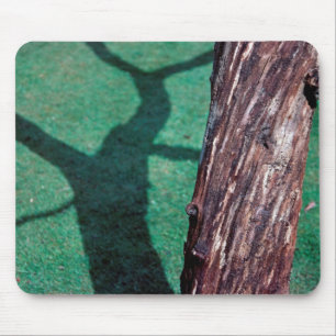 Dead tree mouse pad