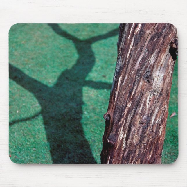 Dead tree mouse pad (Front)