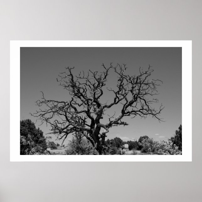 Dead Tree Poster (Front)