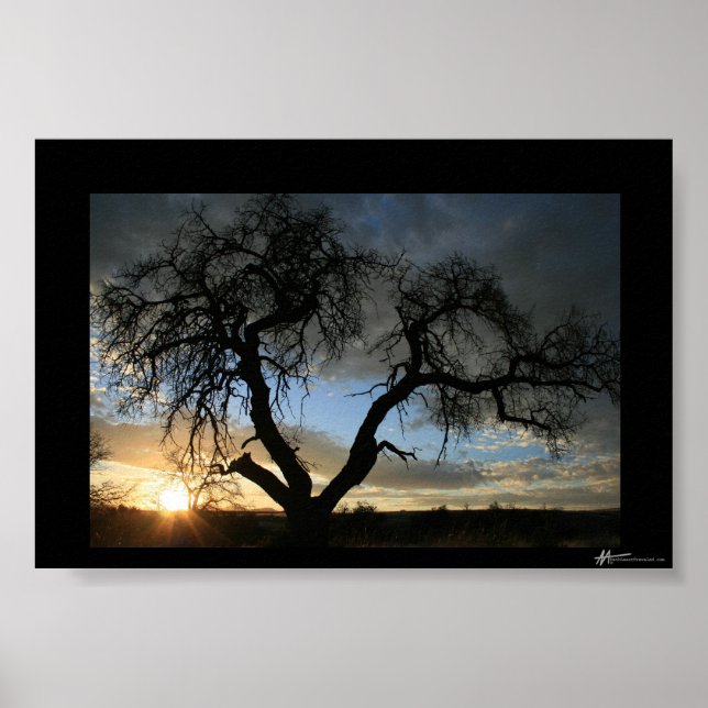 Dead Tree Sunset Poster (Front)