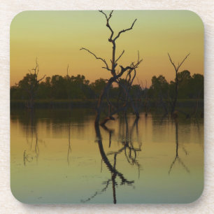 Dead trees reflected in Lily Creek Lagoon, dawn Coaster