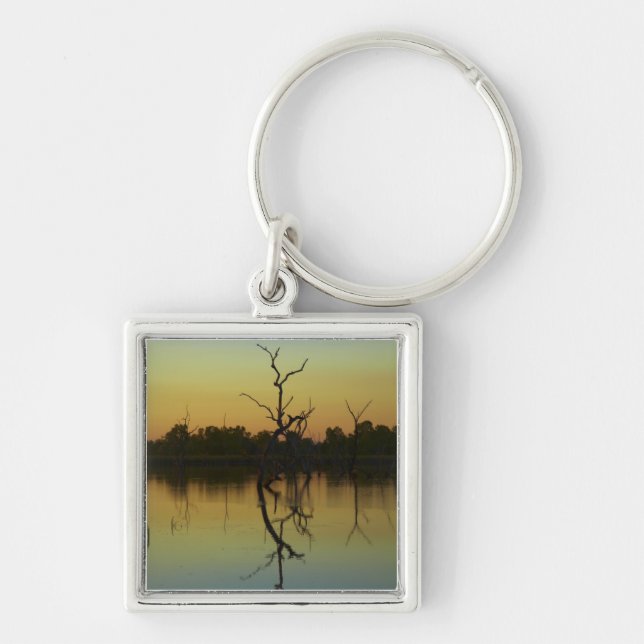 Dead trees reflected in Lily Creek Lagoon, dawn Key Ring (Front)