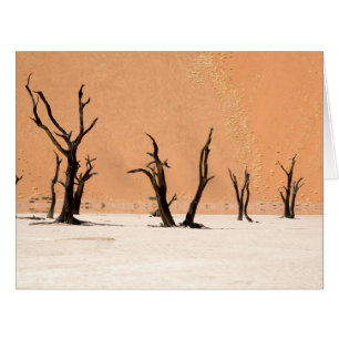 Dead Vlei, Namibia